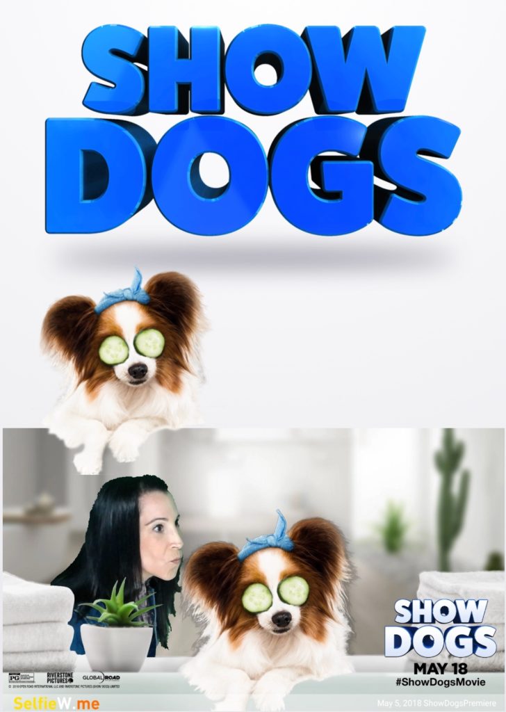 Show Dogs